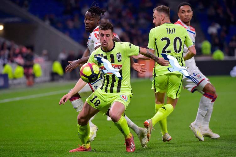 里昂主场战胜尼斯，继续保持不败