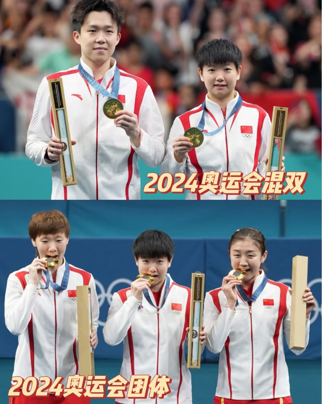 B体育体育网站入口-包含乒乓球女单激战无处不在，冠军属谁成谜的词条